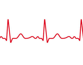 Medical ECG or EKG pulse electrocardiogram. Vector red line heart beat cardiogram chart seamless repeated on white background. Healthcare digital medical concept life rhythm frequency.